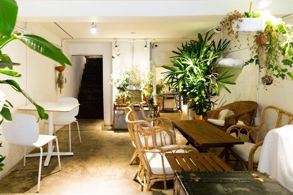 合井的一家擺滿了綠色植物的咖啡廳，提供舒適的原木風格座位及自然光線充足的拍照空間。